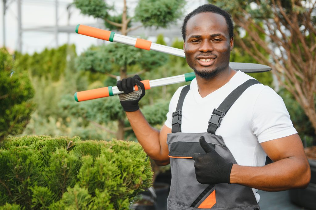 Deep cleaning services in Discovery Gardens for a thorough and hygienic environment