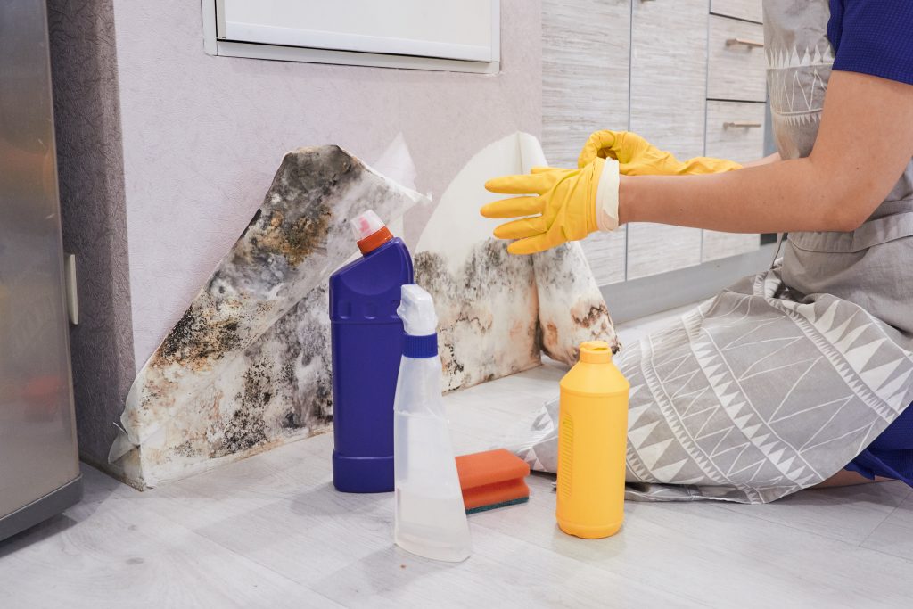 AC mold cleaning service in al ain to remove harmful mold and improve air quality