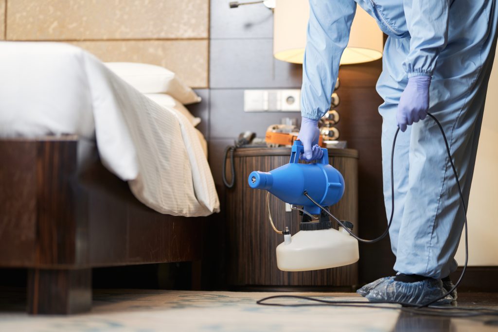 Termite and bed bug pest control treatment in UAE for homes and villas